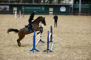 organisation d’un événement équestre avec piste et obstacles professionnels