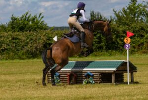 Cheval franchissant un obstacle naturel en cross-country équestre