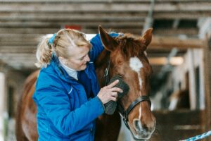 cavalier prenant soin de son cheval et renforçant la relation