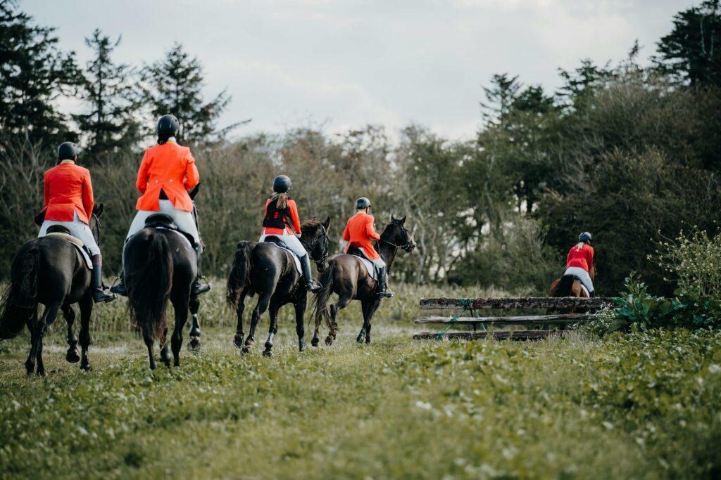 A group of equestrians in red jackets riding horses across a rural landscape with a wooden barrier.